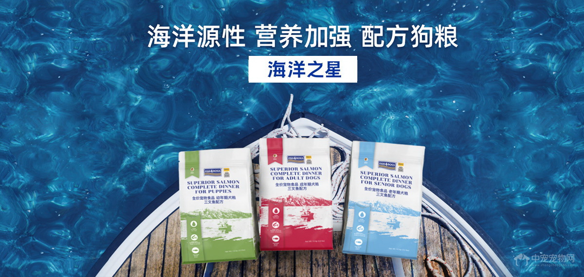 宠控创新科技有限公司