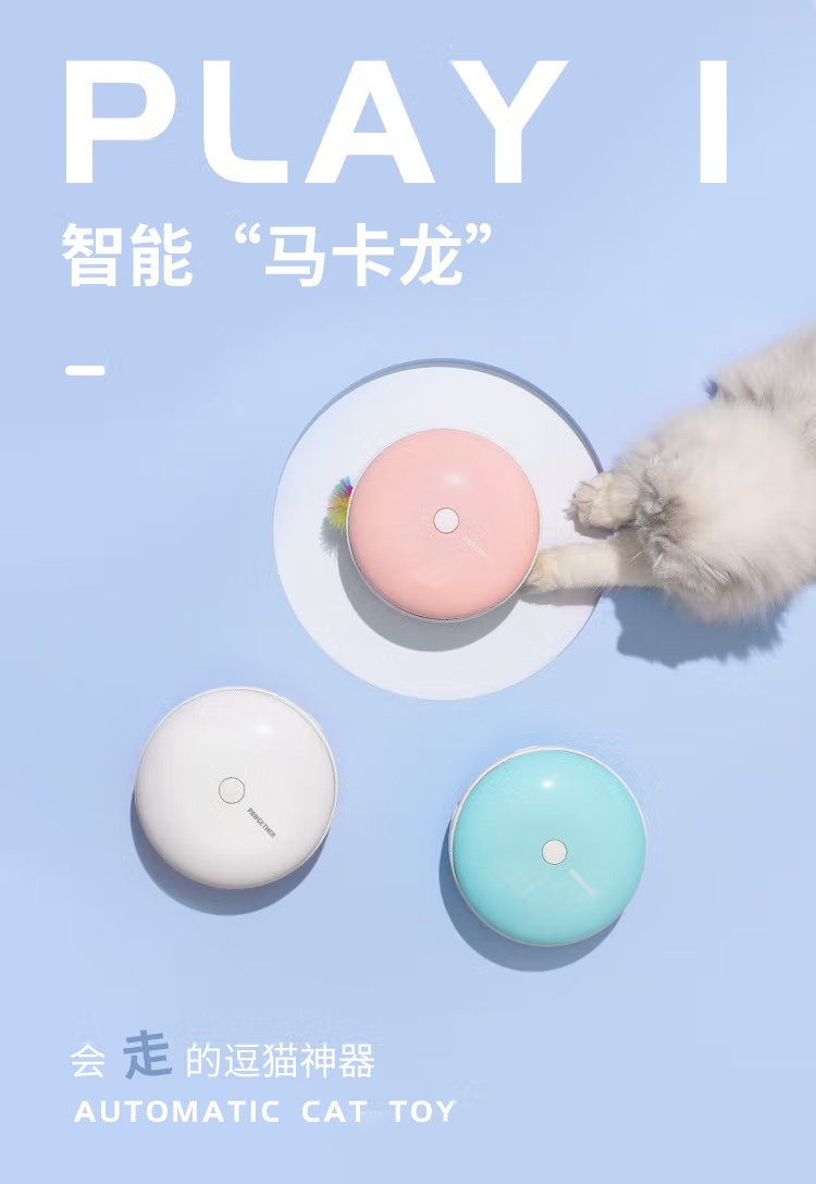 逗猫乐趣