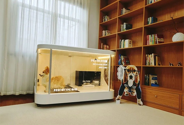 宠物小科技 十几万元买不回爱宠“重生”:小众且昂贵的宠物克隆是科技奇迹还是情感骗局?