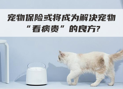宠物保险或将成为解决宠物“看病贵”的良方?