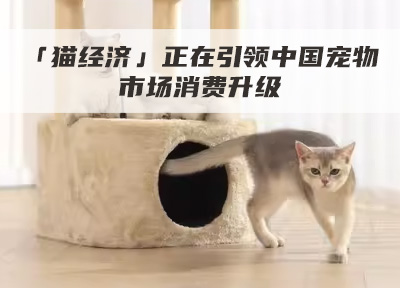 「猫奴」多过「狗主」,「猫经济」正在引领中国宠物市场消费升级