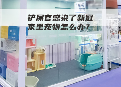 铲屎官感染了新冠，家里宠物怎么办？