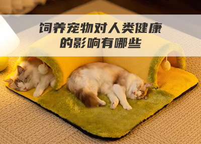 饲养宠物对人类健康的影响有哪些