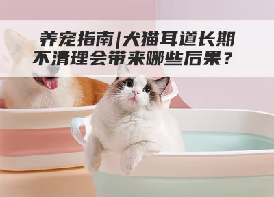 养宠指南|犬猫耳道长期不清理会带来哪些后果?