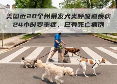 美国近20个州暴发犬类呼吸道疾病!24小时变重症,已有死亡病例