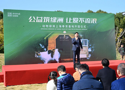 上海寻它科技获数千万元天使轮融资