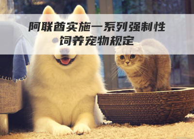 阿联酋实施一系列强制性饲养宠物规定