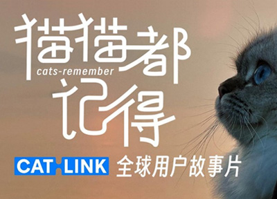 大数据也有治愈力，CATLIN年度养宠报告《猫猫都记得》上线