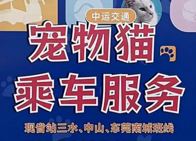 从春节综合市场表现，携宠出行是否将是出行业务的一个新增量赛道？
