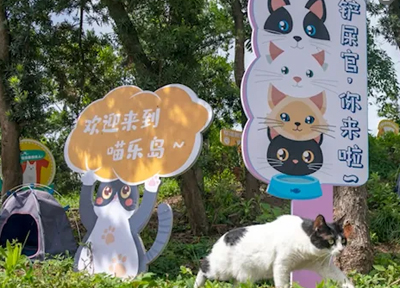 曾获数千万天使轮融资的上海动物绿洲濒临倒闭