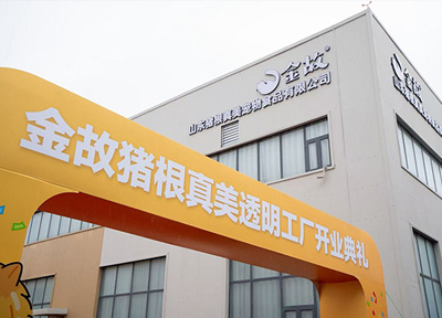 宠物食品迈入"云监工"时代 金故透明工厂重塑行业安全标准