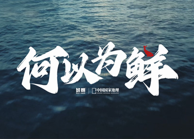 鲜朗携手中国国家地理溯源福建鲜工厂，推动宠物食品行业迈向更高“鲜”标准