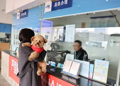 携宠出行，重庆北站推出高铁宠物托运服务试点新线路