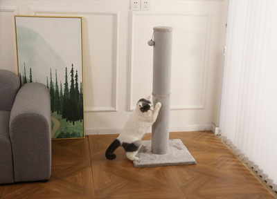 巨型猫抓柱&ldquo;圈粉&rdquo;美国铲屎官，浙江老厂通过TikTok Shop拓展海外市场