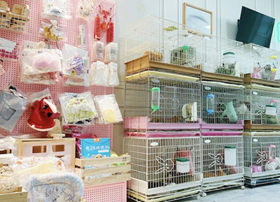 北京异宠火出圈，这家&ldquo;兔兔天堂&rdquo;如何用体验式研学重新定义养宠？