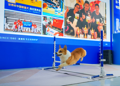 麦德氏分体型软骨素京宠展首发：46年深耕践初心，专家护航关节健康新升级