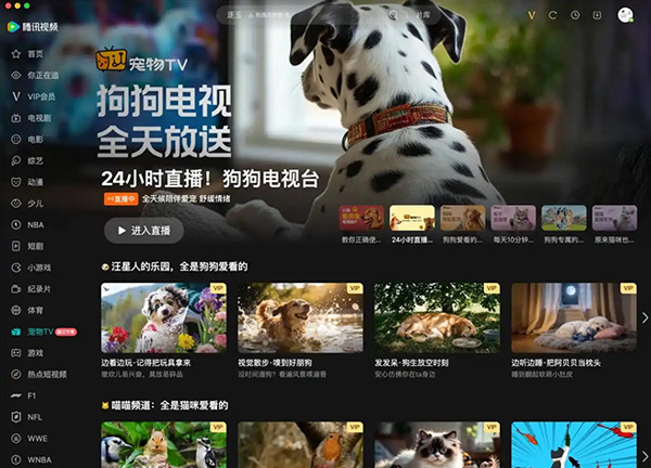 腾讯视频上线宠物TV，猫咪狗狗专属频道开启试运营
