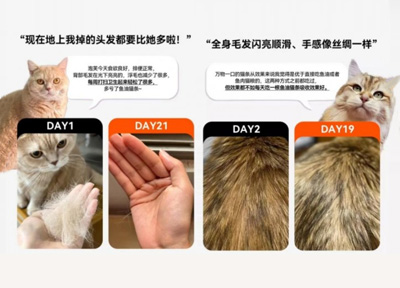 功效、营养、品控：十大热门猫条品牌三维度对比评测