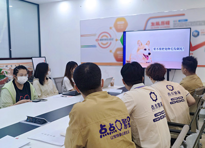 夏天来了,你家毛孩子的“防暑模式”开启了吗?