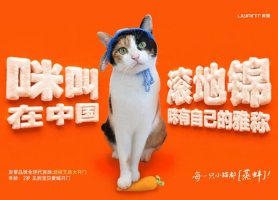 当品牌开始为宠物设计“文化身份”:友望开启2026宠物友好营销的进阶样本